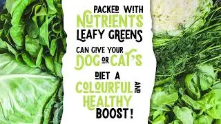 Leafy Greens for Dogs and Cats
