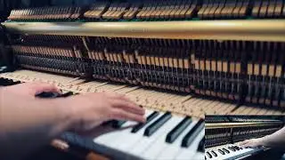 Relaxing Piano Music for Ultimate Peace (with live action)