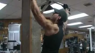 Virginia Sanchez Macias dorsal workout