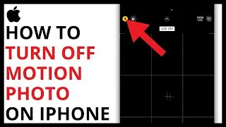 How to Turn Off Motion Photo on iPhone [QUICK GUIDE]