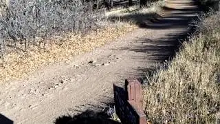 Red Rocks and 2 dog trail