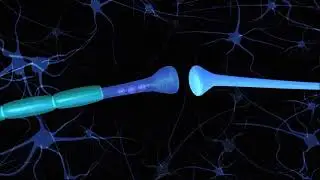 Dopamine is Hormone of Mood's Balance, Exactly