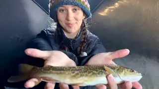 Ice Fishing a Small Alberta Lake | Nonstop Trout Action in the Ice Tent