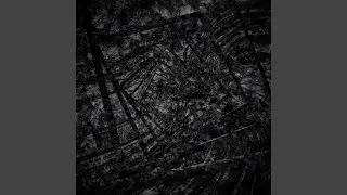 Voglio Tagliare Il Cazzo Ad un Toro