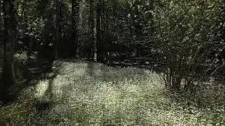 Zone umide Riserva Naturale Monte Rufeno