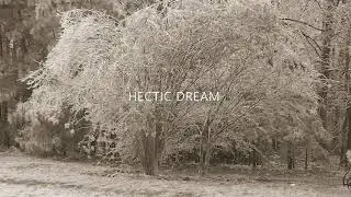 HECTIC DREAM audio video (recorded live)