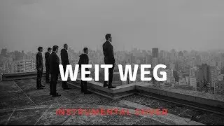 Rammstein - Weit Weg Instrumental Cover