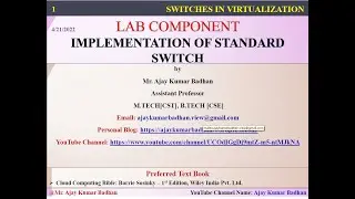 Standard Switch in Virtualization