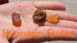 Bernsteinsuche in Danzig
