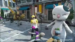 First Time At The Moogle Chocobo Festival