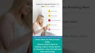 Furbo 360&deg; Dog Camera + Mini Bundle with Nanny ProBest Amazon Deals | Unboxing  #Short Pet supplies