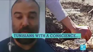 Replanting trees in a Tunisian forest devastated by wildfires