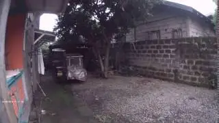 la lng....