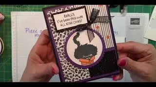 Stampin Up Crazy Cat Stamp Set with Cute Halloween Designer Series Paper