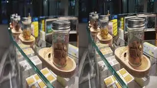 A little walk in XiTang(iPhone spatial video)