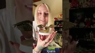 Toynk Toys Unboxing