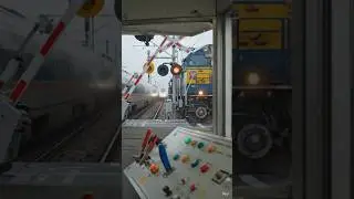 #shorts #shortfeed #trending #viral #ytshorts