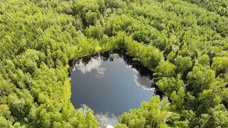 Красивые места. Озеро Торфяное. Хотьково. Московская область. Релаксация.