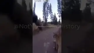 GoPro Hiking | Cougar Attacks Hiker😱