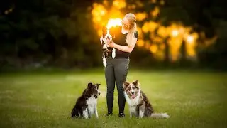 Faya | Zira | Lynn - Agility [Border Collies]