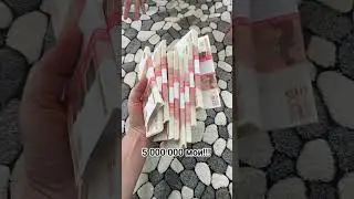 Мои первые пять миллионов. Все любят деньги. Денег много не бывает!