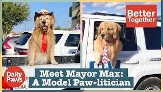 The Mayor of This Town is a Dog Named Max | Better Together | Daily Paws