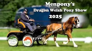 Aangespannen rubriek op de Dragon Welsh Pony show: menpony&rsquo;s enkelspan vrijetijdsaanspanning