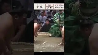 Томокадзе VS Хитоси Нацу Басё 2025 Сумо #sumo #japan #sport #сумо #wwe #япония #mma #ufc #борьба