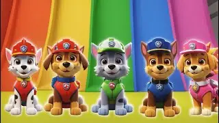 Paw patrol love story funny -  Paw Patrol Ultimate Rescue 2D Animation