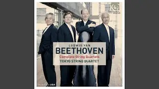 String Quartet No. 14, Op. 131: VII. Allegro