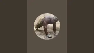 Watch Me Train Live | Raw Strength Workout