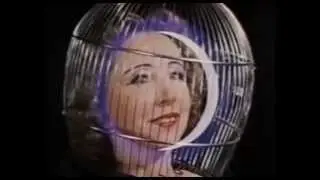 Echo Park - Fiber Optic (footage)