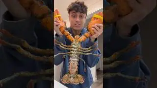 Cooking Massive Lobster