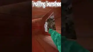 Trolling banshee ! | #vr #banshee #gtag #wtrmelvr |