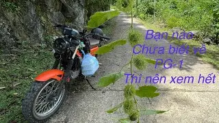 Đánh giá nhanh PG-1 sau 10 nghìn km .