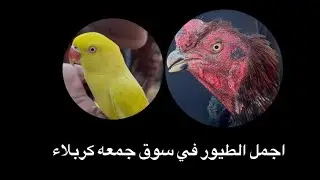 سوق جمعة كربلاء #لاتنسو _لايك_اشترك انتظر الفديوات الجديدة 