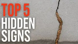 Top 5 Hidden Termite Signs in MD & VA Homes