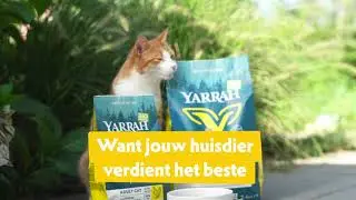 Yarrah biologisch kattenvoer - Heerlijk en gezond