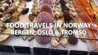 Dining in Norway as a Tourist  - Bergen, Oslo & Tromso 🇳🇴🏔️