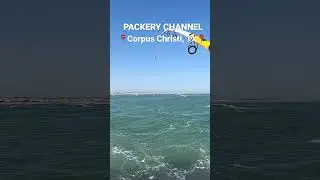 Quick sheepshead limit! Fishing Packery Channel Jetty! (C.C.,Texas, full video on channel!) #fishing