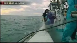 Radioactive fish hit new levels in Japan.