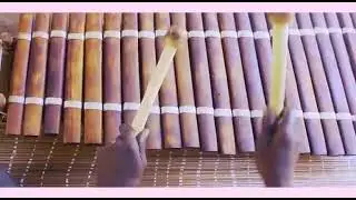 Tamba junior la paix clip
