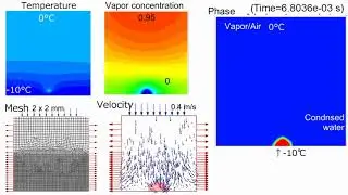 CFD Dropwise Condensation -Simultaneous Heat and Mass Transfer Model-