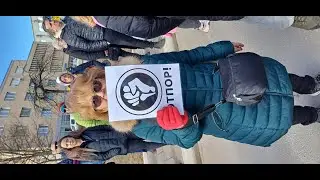 Bor 1.02.2025. Bor se budi