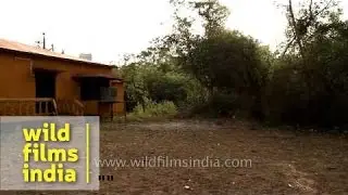 Cottage of Ken River Lodge - Panna, Madhya Pradesh