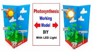 photosynthesis working model for science project exhibition - diy - led light - diypandit