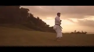 Shureido TVCM30 A