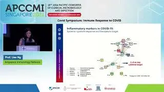 Understanding Infection and Immunity of SARS-CoV-2: from Diagnostics to Therapies