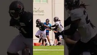Chubb in open field 💨
