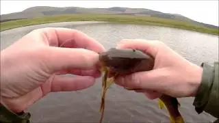 wet fly fishing the long loch of the dungeon 7/6/19 galloway hills for wild brown trout